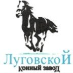 Отзыв Луговской конный завод